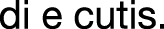 Polygon