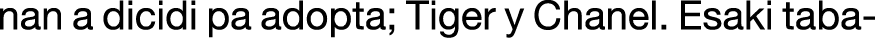 Polygon