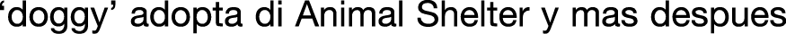 Polygon