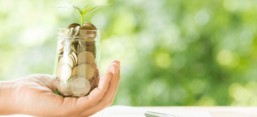 Woman hand holding plant growing from coins bottle in the on blurred green natural background