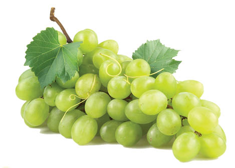 Fresh green grapes with leaves  Isolated on white
