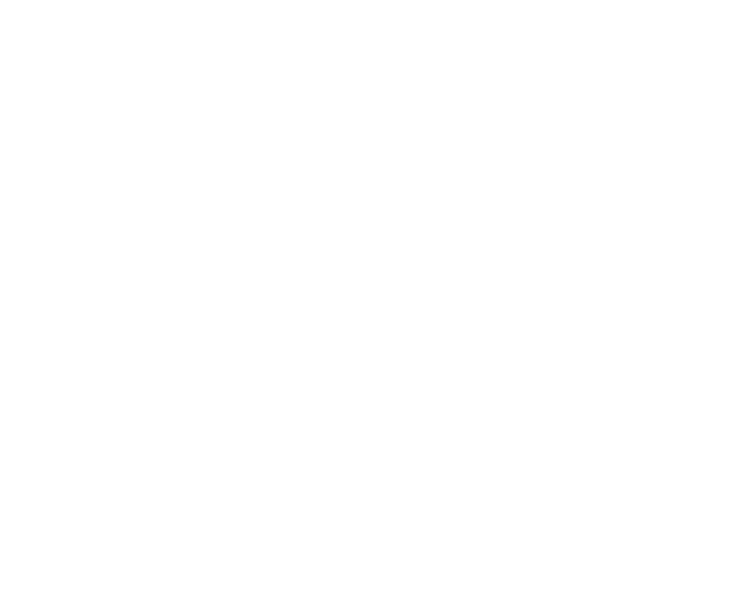  E ta un honor pa por a crea un plataforma dinamico na e siguiente generacion di Aruba su turismo , ta bisa Kim Geurt   