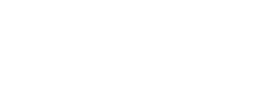 Febreze AIR Winter Spruce