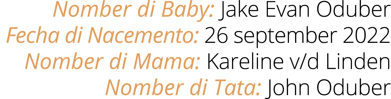 Nomber di Baby: Jake Evan Oduber Fecha di Nacemento: 26 september 2022 Nomber di Mama: Kareline v/d Linden Nomber di ...
