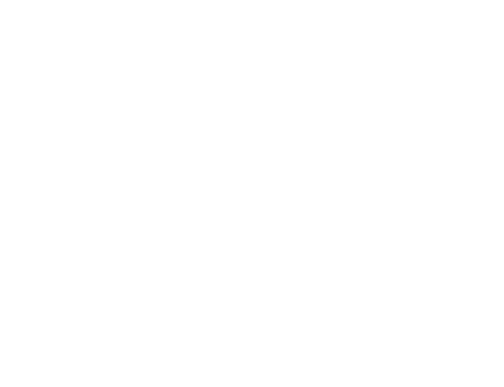 Libre Yves Saint Laurent 