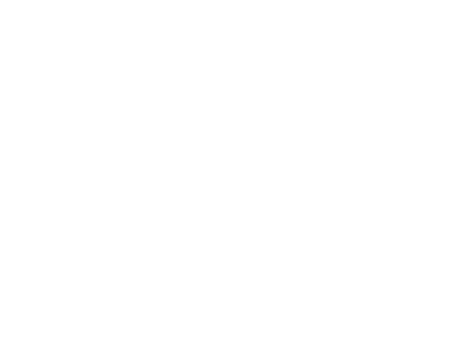 Fun Facts