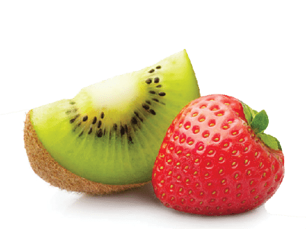 Kiwi fruit slice and strawberry isolated on white