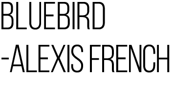 BlueBird Alexis French