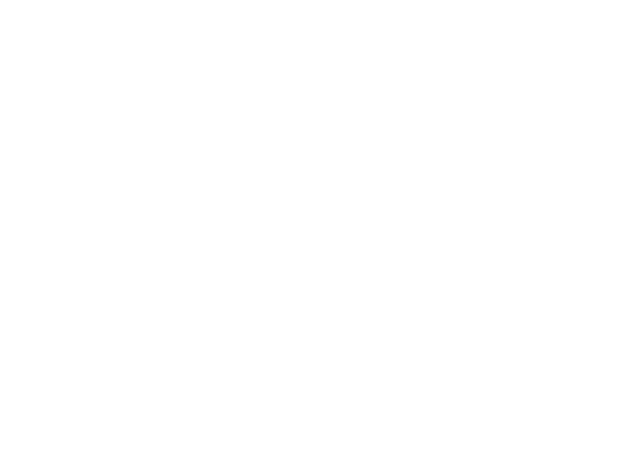 Ariana Croes