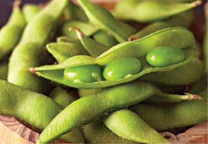 Close up of Edamame