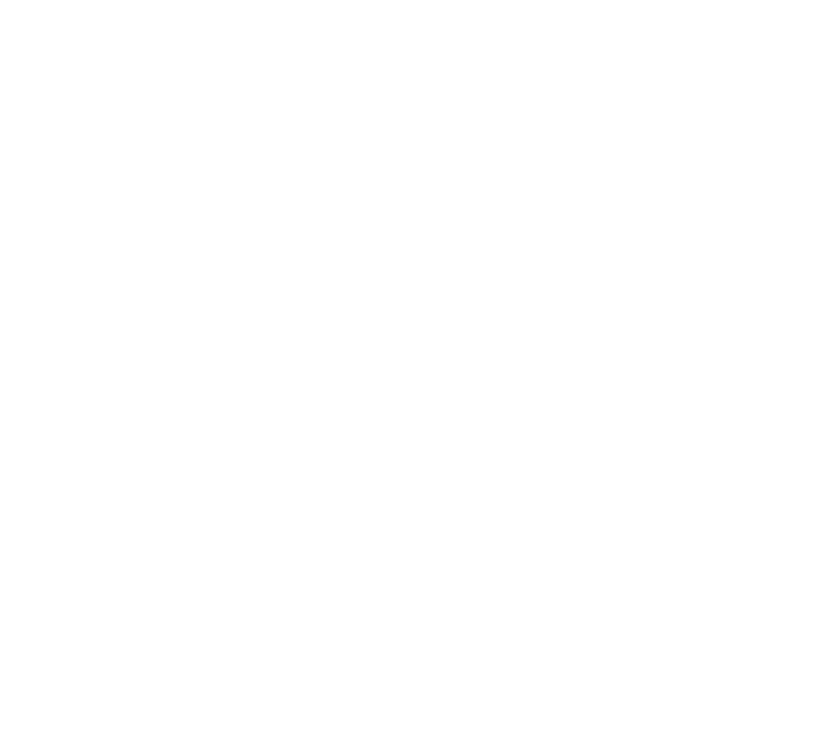 E resolucionnan ta un tradicion pa inicia un A a Nobo y ta hopi normal cu nos ta fiha metanan pa cumpli cu ne durante...