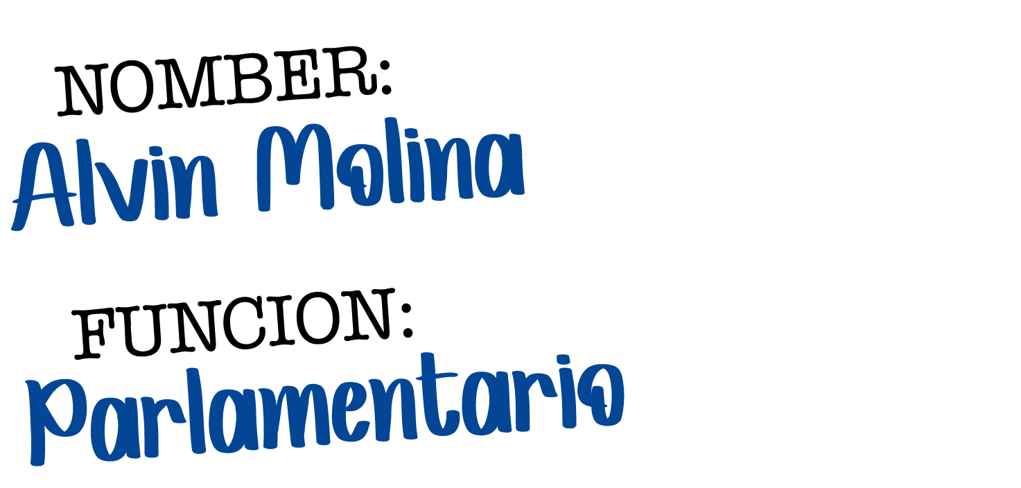  NOMBER: Alvin Molina FUNCION: Parlamentario