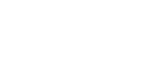 Bebida: Red Wine of un bon Mojito 