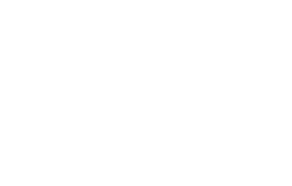 Comida: Schrimps