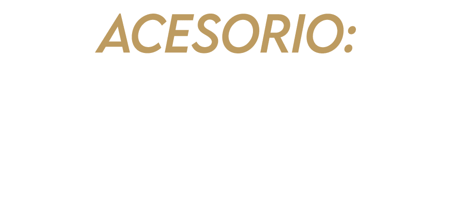 Acesorio: Handschoen, Sjaal, Renchi Horea, Cadena, Sapato, Sombre y Tas