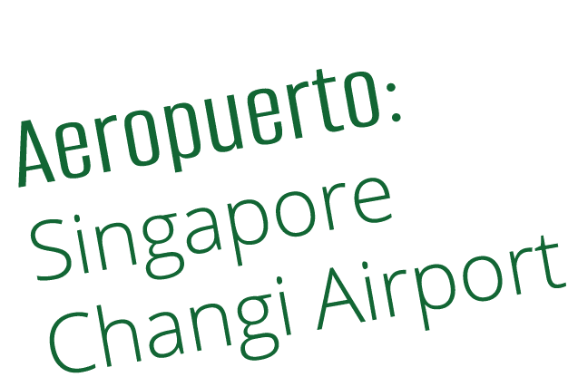 Aeropuerto: Singapore Changi Airport