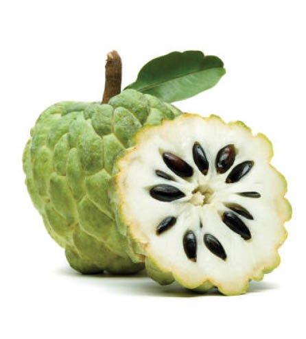 Custard apple or sugar apple with slice and green leaf isolated on white background, exotic tropical Thai annona or cherimoya fruit, healthy food