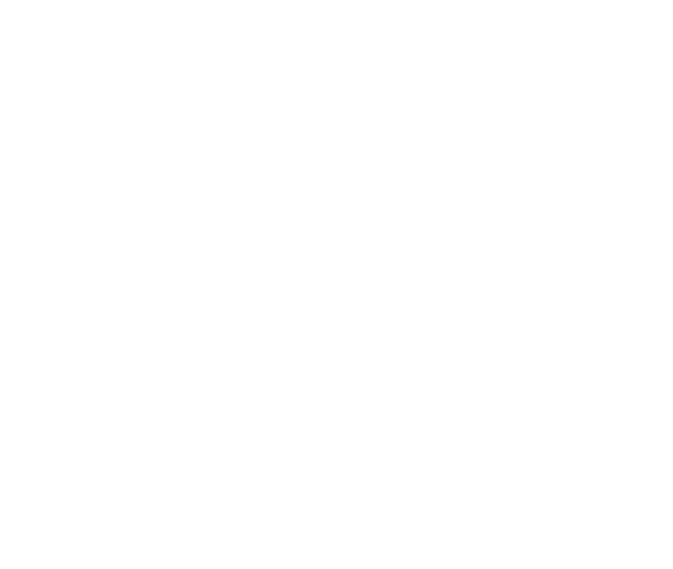 Fun Facts: