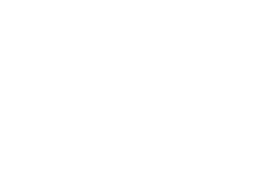 Dessert: Ice Cream 