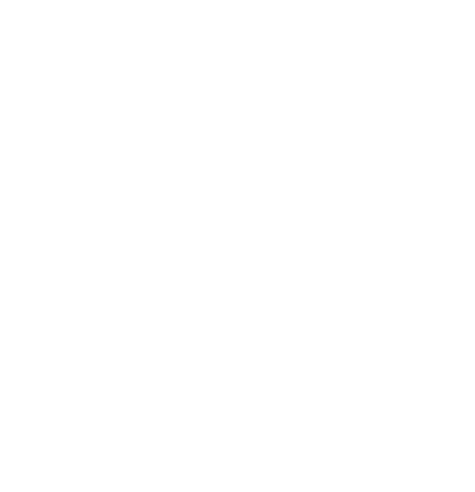  Fun Facts 