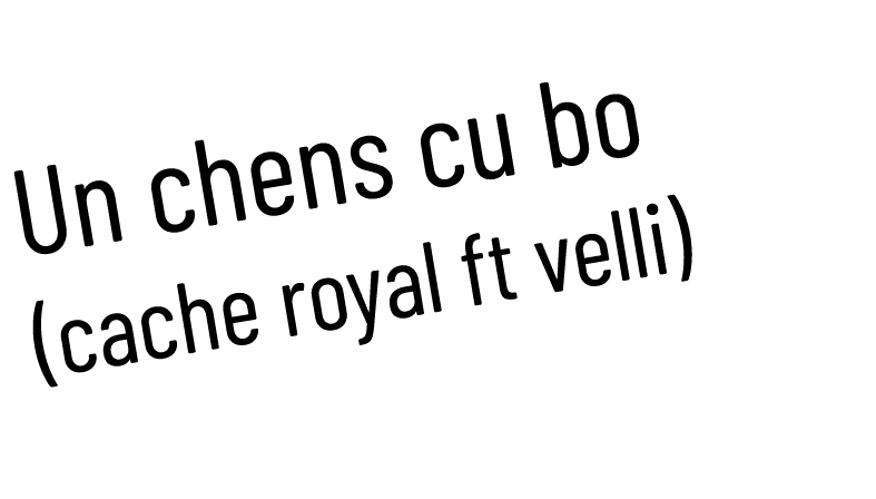 Un chens cu bo (cache royal ft velli)