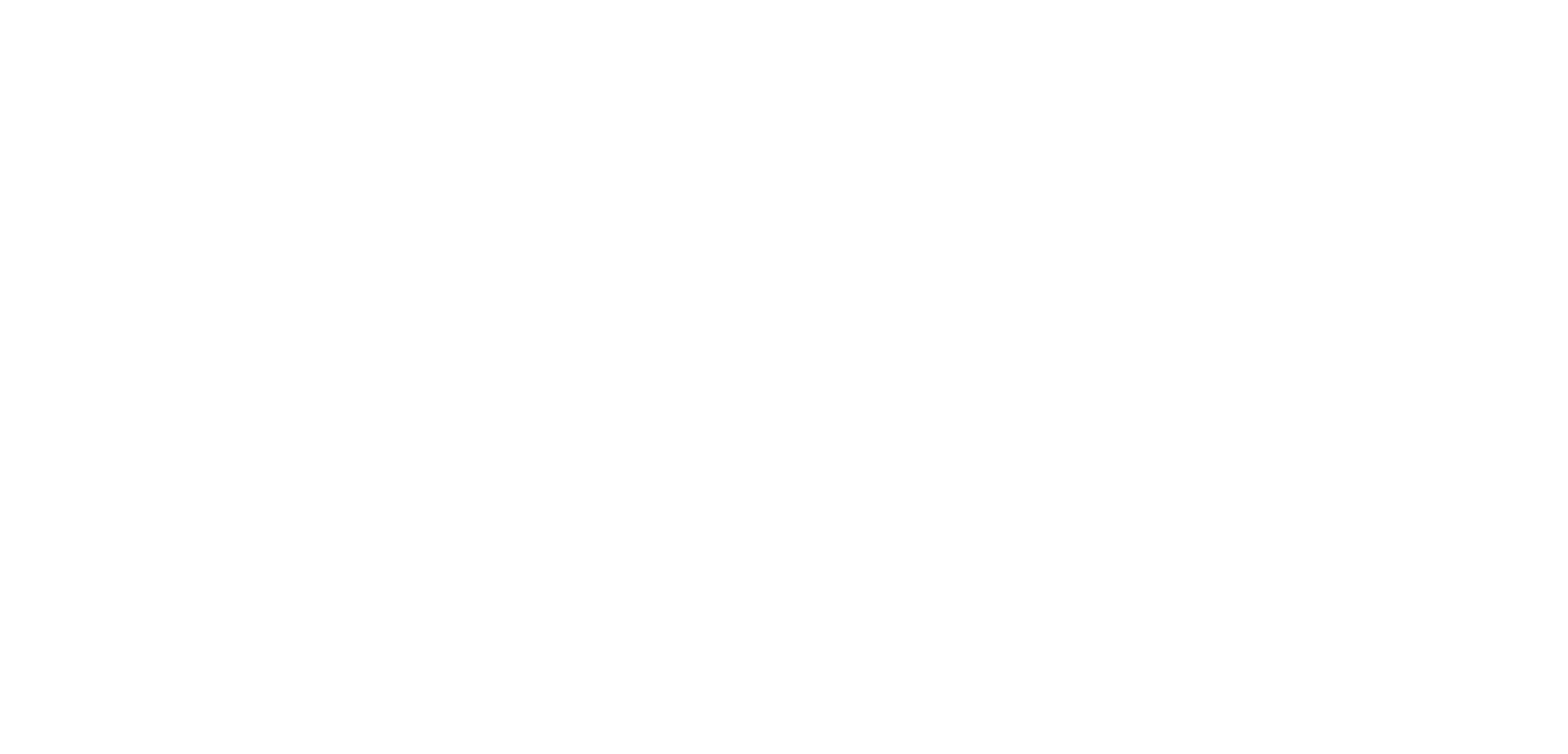 Detaye di vuelo                                                                   E servicio nobo lo opera haciendo u   