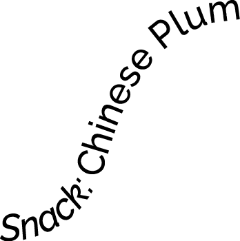 Polygon