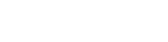 Modelo 