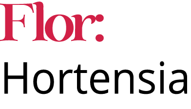Flor: Hortensia