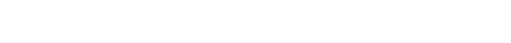 ARUBA AIRPORT AUTHORITY