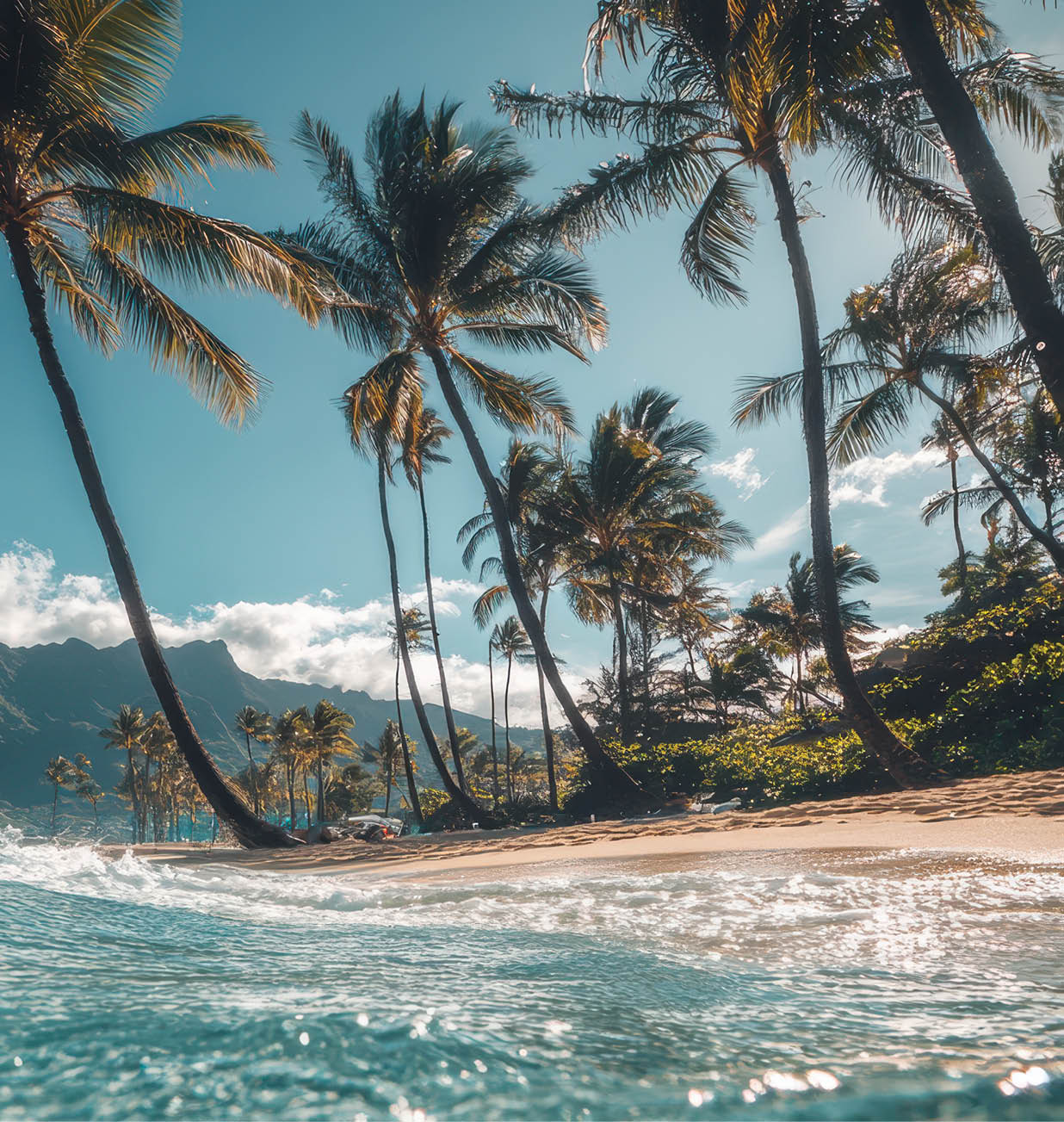 cinematic style, hawaii beach, a beautiful beach with palm trees photographed on an underwater photo camera, waves up close, 50mm --ar 2:3 --style raw --stylize 200 Job ID: b991ed30-1671-499b-a5bf-740d8ab4a1c2