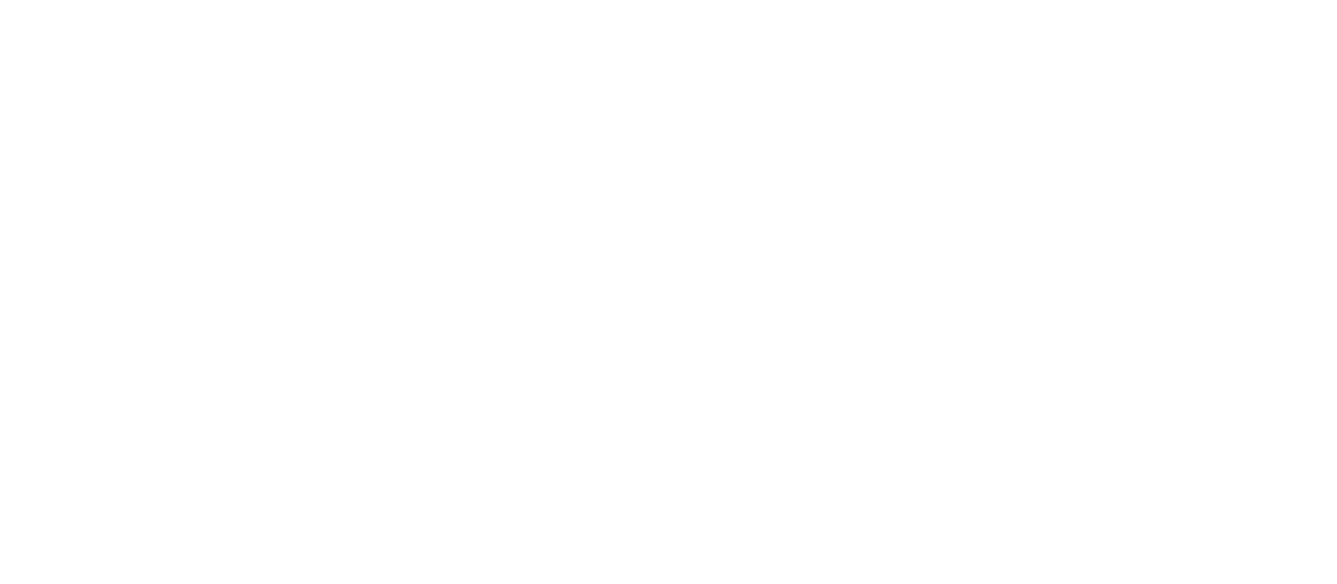  Dina