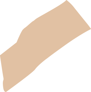 Polygon