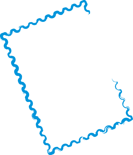 Polygon