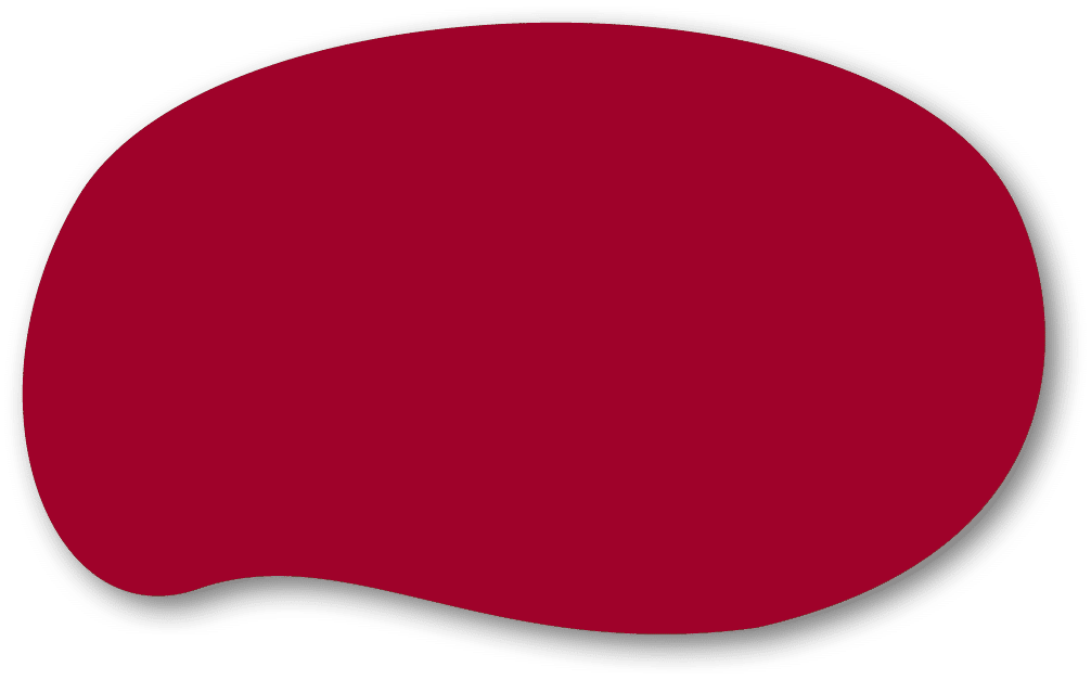 Polygon