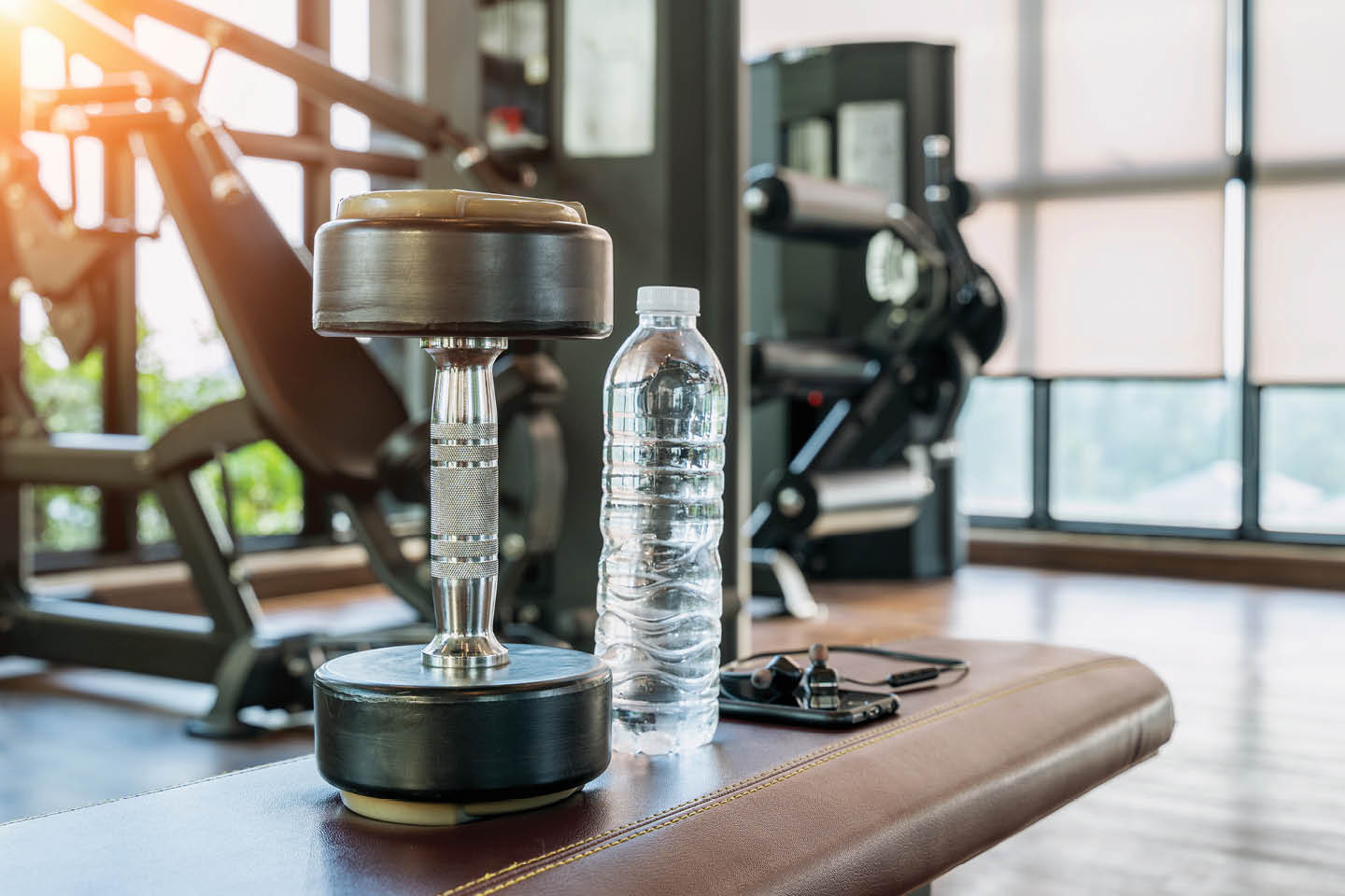 Dumbbells in a fitness 