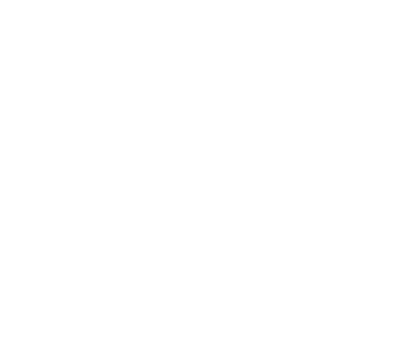 Dessert: Brownie cu Ice Cream 