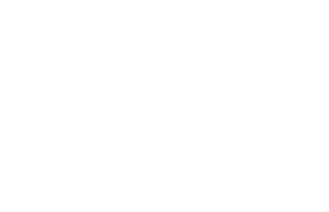 E premionan adicional via nan campaña riba Facebook & Instagram cual tabata 2 pasashi di ida y buelta pa Santo Doming   