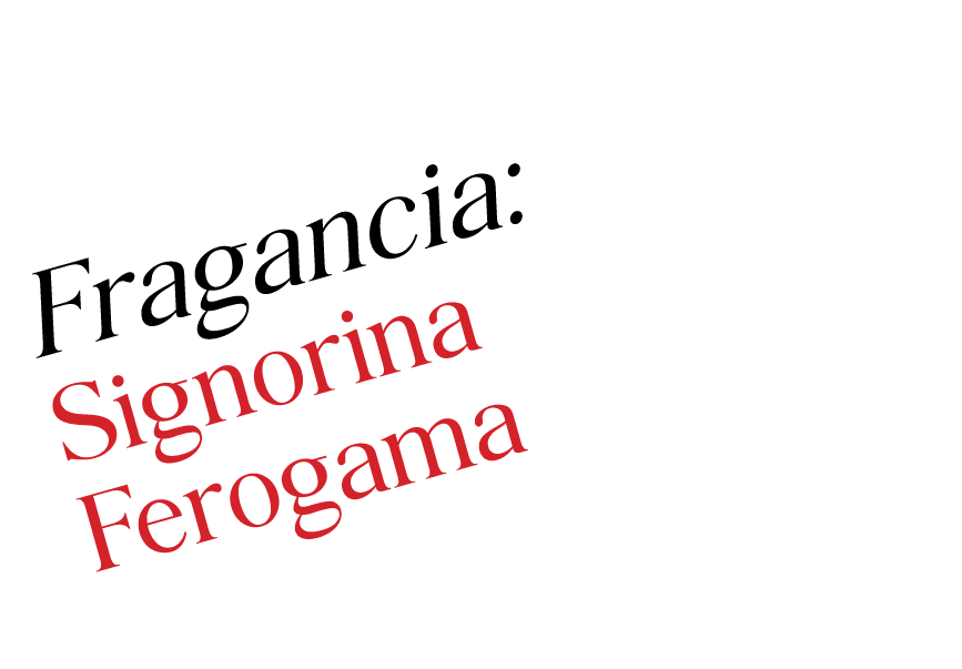 Fragancia: Signorina Ferogama 