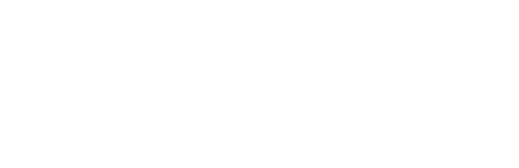 Presidente WOW Aruba