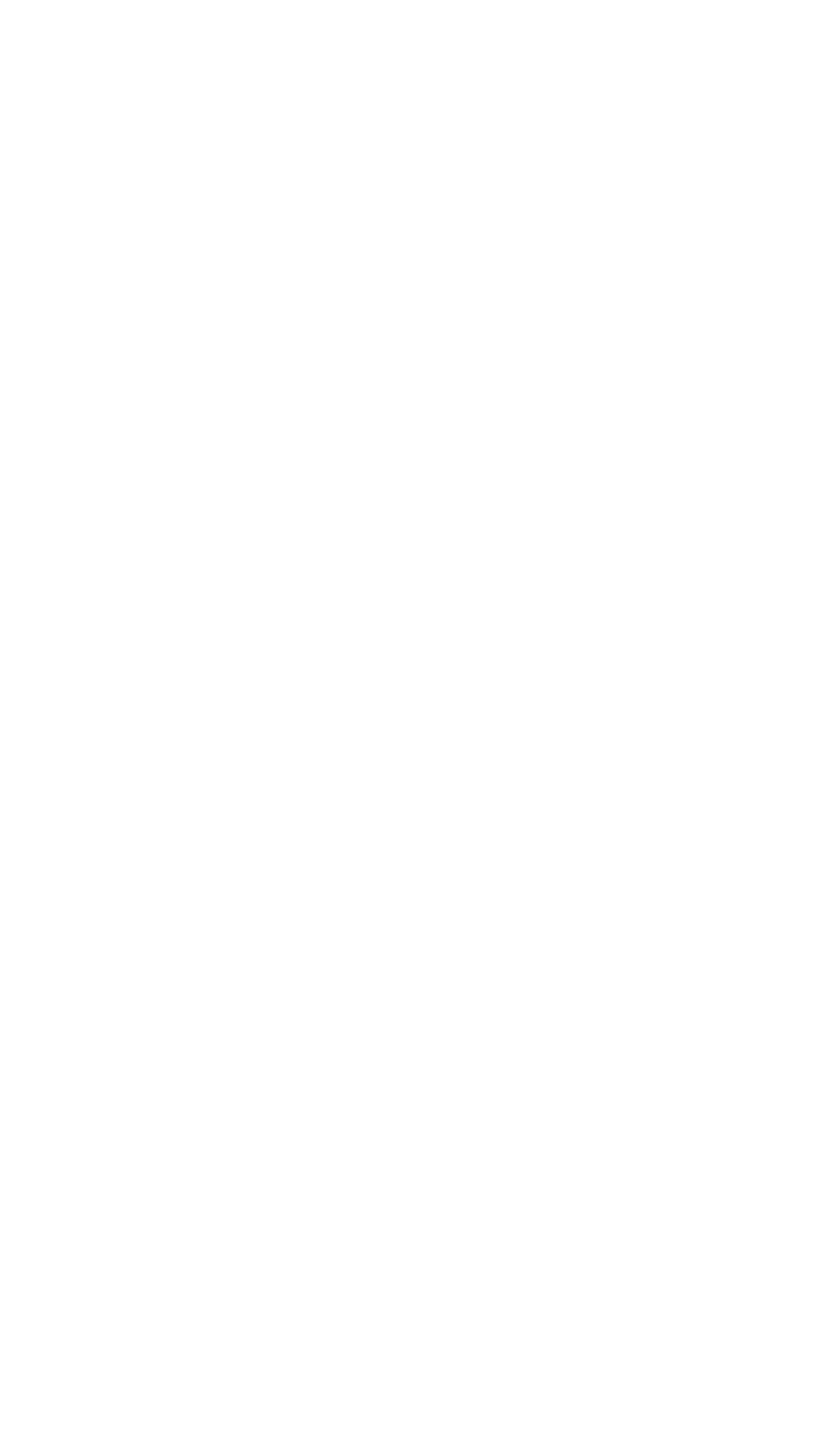 E Managing Director di VCC International N V  tin mas cu 15 aña di experiencia den mercadeo, comunicacion, tecnologia   