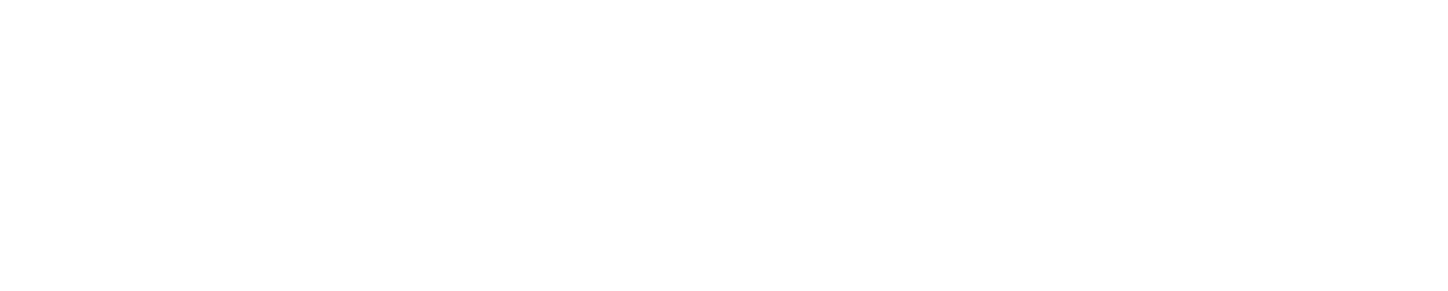 Managing Director VCC International N V 