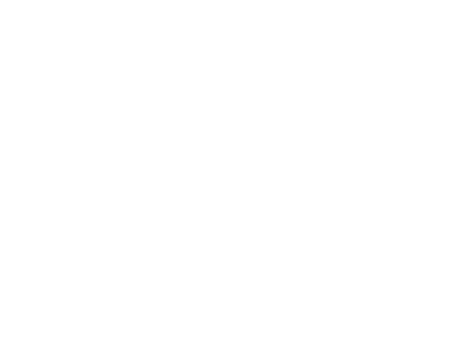  Construi un futuro trankil cu proposito”