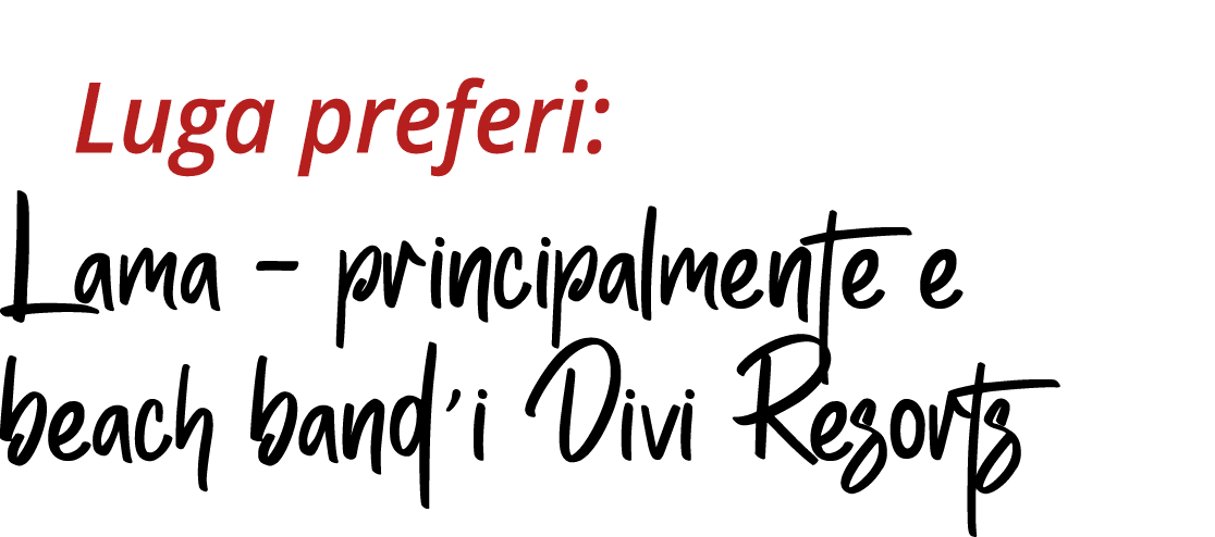  Luga preferi: Lama – principalmente e beach band’i Divi Resorts