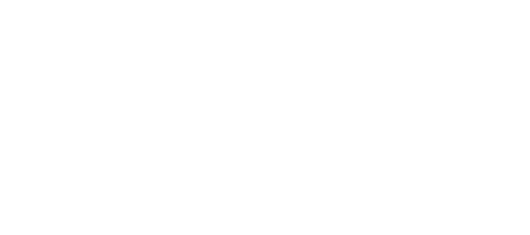 SAYA MICRO