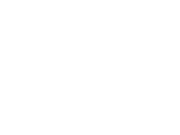  Teen Universe Aruba 