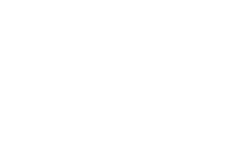 Amalia Niebles Diaz