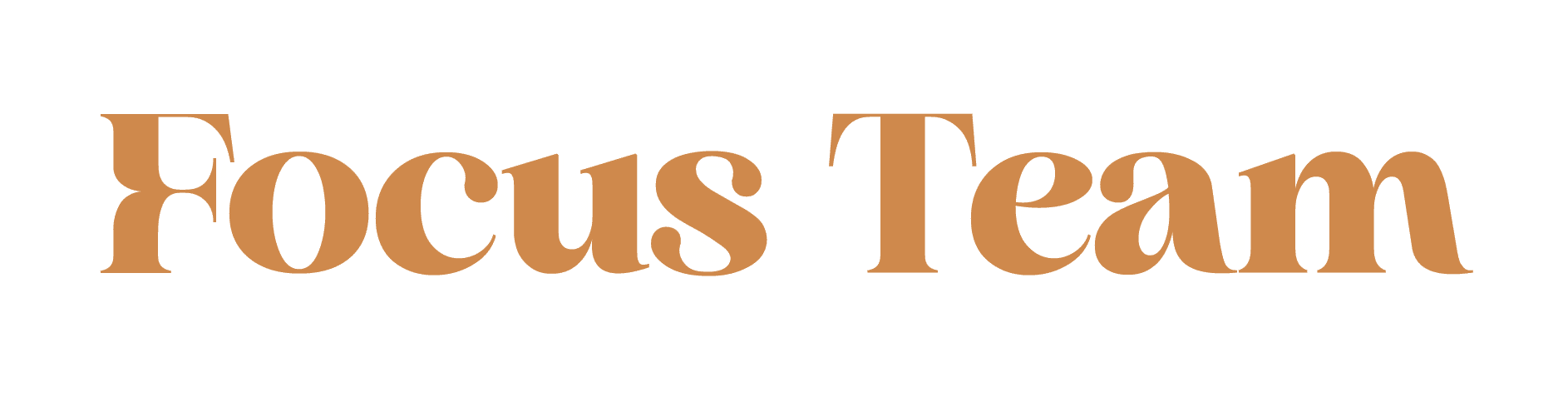 Focus Team