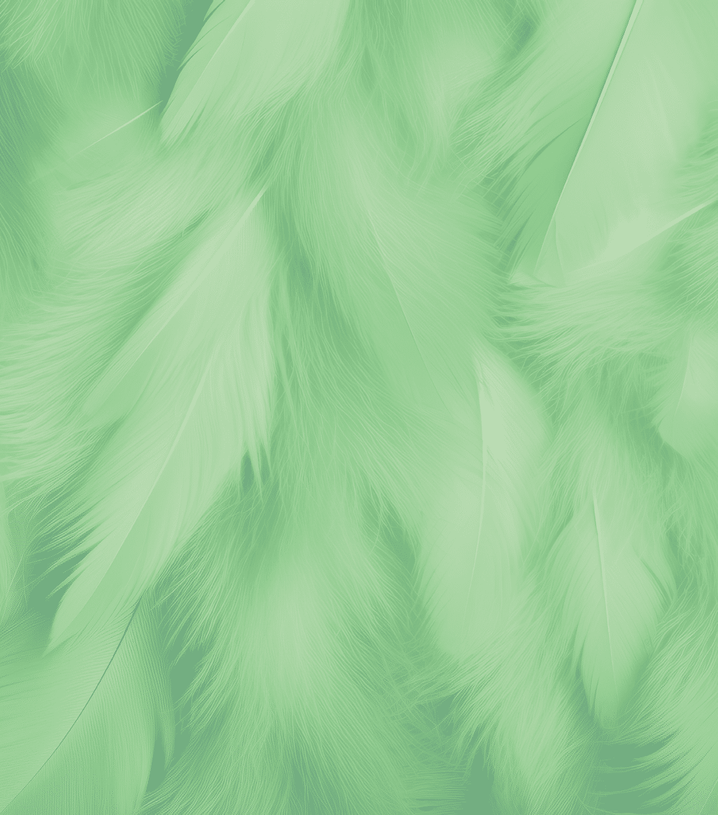 Beautiful Fluffy Green Feather Abstract Feather Background