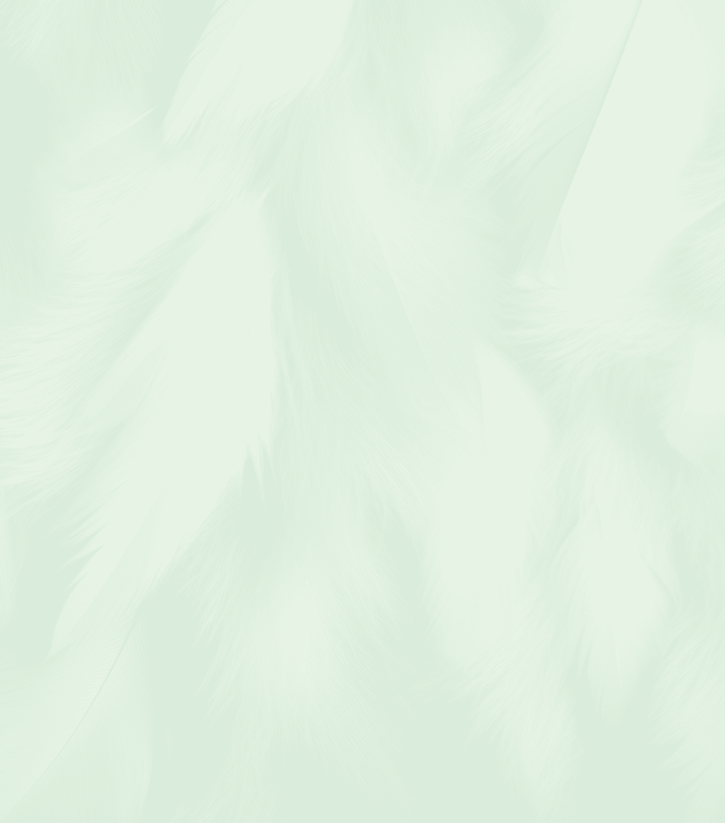 Beautiful Fluffy Green Feather Abstract Feather Background